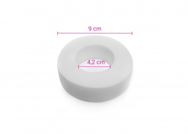 Ring Wonderbrush, Poolroboter Dolphin